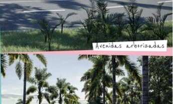 Imagem 2: Terreno à venda, 444 m² por R$ 319.500,00 - Parque dos Ipes - Holambra/SP