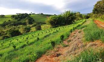 Imagem 2: Fazenda em são gonsalo do sapucai 111 hec 10.200.000.00 ( elice