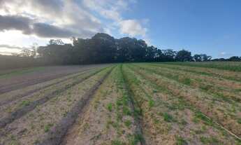 Imagem 14: Lote/Terreno para venda possui 600 metros quadrados em Jardim Bandeirantes - São Roque - S