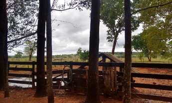 Imagem 2: Fazenda de 204 hectares. dupla aptidão