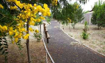 Imagem 2: Apto 2 dorms Vila Verde Sabará