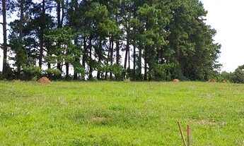 Imagem: Lote/Terreno para venda tem 600 metros quadrados