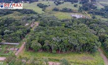 Imagem 3: Chácara à venda, 1000 m² por R$ 150.000 - Borda Do Campo - São José dos Pinhais/PR