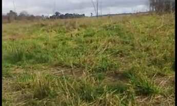 Imagem: Terra a venda OPORTUNIDADE