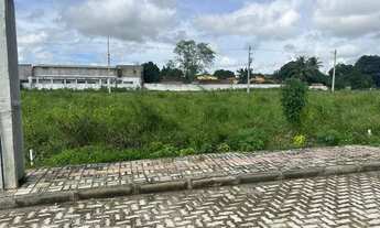 Imagem 4: Excelentes lotes na Pitubinha! Oportunidade!