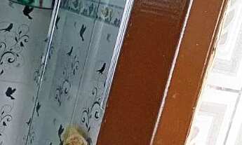 Imagem 3: Ótima Casa 2 quartos, Escritura, Rua Leite Ribeiro, Fonseca, Niterói, só 150 mil