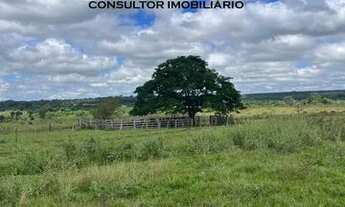 Imagem 4: Fazenda 100 Alqueires Região De Aparecida Do Taboado/MS