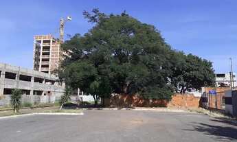 Imagem 2: Lote para Prédio