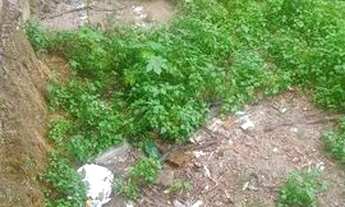 Imagem 2: Oportunidade!!!!!corra antes que eu desista....14.000.00