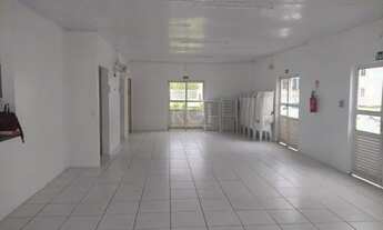 Imagem 7: Apartamento em Restinga