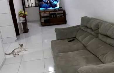 Imagem 3: Casa para venda Goiabeiras - Vitória - Espírito Santo