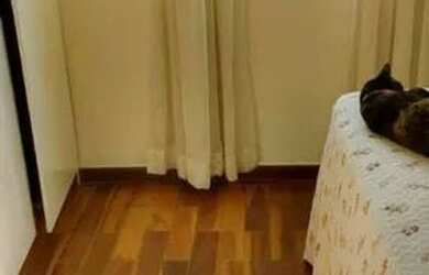 Imagem 7: Apartamento com 2 quartos no Bairro São Pedro