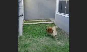 Imagem 4: Duplex de alto padrão com 4 suítes em Vargem Pequena - IMOBILIÁRIA VALENTE'S VENDE