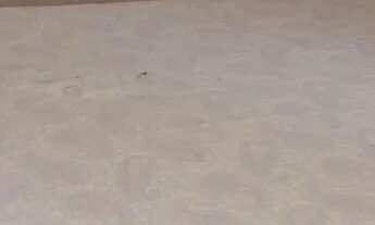 Imagem 5: Aluga Apartamento com 2 dormitórios