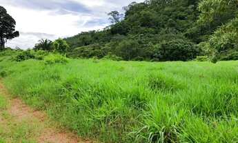 Imagem 7: . Uma Fazenda 307 Alqueires município de Monte do Carmo Tocan