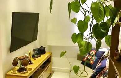 Imagem 3: Apto 2 dorms com sala estendida - suíte - Perfect Home Usp Butantã