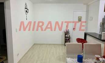 Imagem 3: Apartamento de 50m² com 2 quartos em Vila Augusta