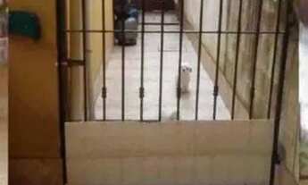 Imagem 4: Vendo casa em lagoa nova