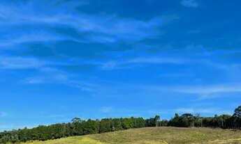 Imagem 4: VENDO TERRENO ACLIVE, DECLIVE E PLAINO