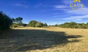 Imagem 2: Terrenão 1000m², plano, luz na frente!!!