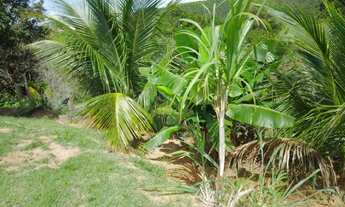 Imagem 3: Lote 1.015m2 - Praia Grande