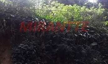 Imagem 3: Terreno em SANTA INÊS