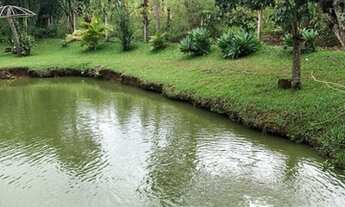 Imagem 2: Sítio de 6 Alqueires Região de Capetinga-MG