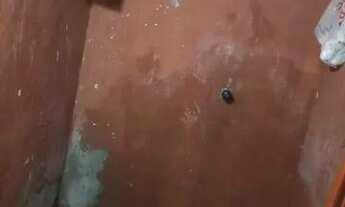 Imagem 6: Casa dois quartos sala cozinha banheiro e quintal