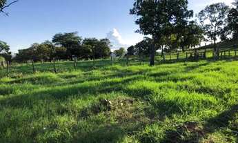 Imagem 4: . Uma Fazenda 307 Alqueires município de Monte do Carmo Tocan