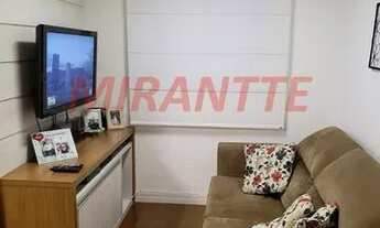 Imagem 3: Apartamento de 62m² com 3 quartos em Vila Amalia