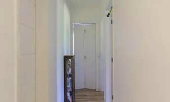 Imagem 5: Apartamento para Aluguel - City América, 3 Quartos, 65 m2