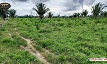 Imagem 5: Excelente Sítio em Candeias do Jamari-RO