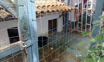 Imagem 4: Casa para venda tem 129 metros quadrados com 2 quartos em Santa Maria - Osasco - SP