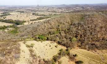 Imagem 4: Excelente Fazenda no Município de Unaí-MG com 125 hectares