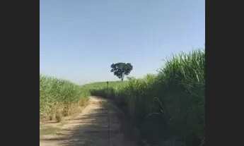 Imagem: Sitio 25 alqueires em Nhandeara com 19.8