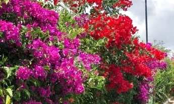 Imagem 3: CASA EM CONDOMINIO | 03 DORMITORIOS