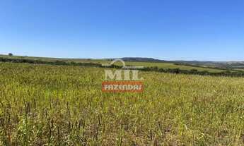 Imagem 6: Fazenda em Pires do Rio - GO. 115 Alqueires