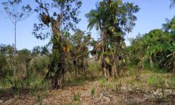 Imagem 3: BARBADA! TERRENO DE 1.800 em Guaratuba - PR ( 4 lotes de 370 m2