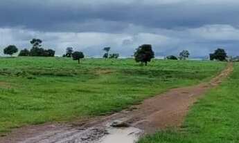 Imagem 4: FAZENDA 354 ALQUEIRES COLINAS DO SUL (GO