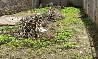 Imagem 5: Imóvel comercial a venda