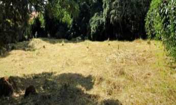 Imagem 3: O melhor lote do condo! Central, plano e limpo!