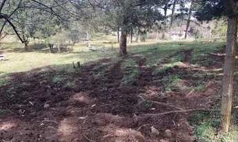 Imagem 4: Área 10.000m² Terreno / lote com venda por R$601.000