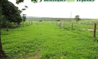 Imagem 4: Fazenda para pecuária de corte e leite, perto de Montes Claros