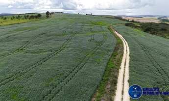 Imagem 6: Fazenda à Venda em Abadiânia - GO