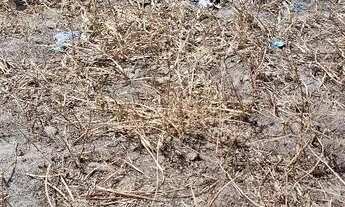 Imagem 3: Casa 20 mil sala,quarto e banheiro