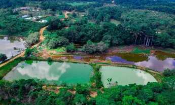 Imagem: Fazenda 1.000 x 1.420 na estrada de Manacapuru
