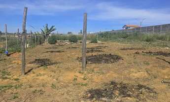 Imagem: Imóvel para venda com 390 metros quadrados