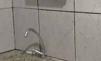 Imagem 13: Edícula pra alugar direto com Proprietário