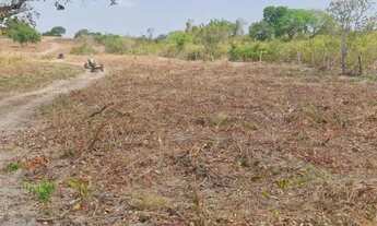 Imagem 2: FAZENDA 354 ALQUEIRES COLINAS DO SUL (GO