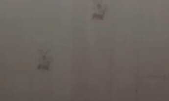 Imagem 12: Vendo apartamento em Poços de Caldas MG